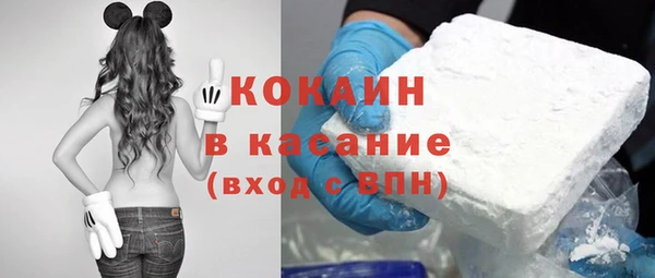 стаф Аркадак