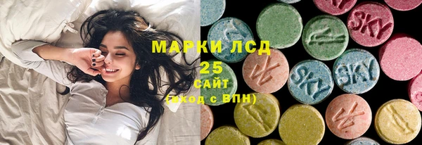 стаф Аркадак