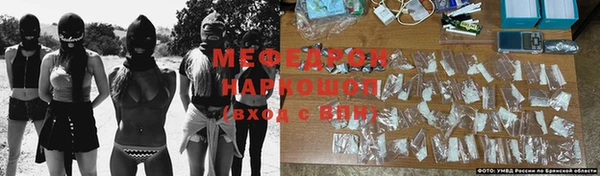 стаф Аркадак