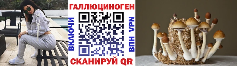 Псилоцибиновые грибы Psilocybe  закладка  Пудож 